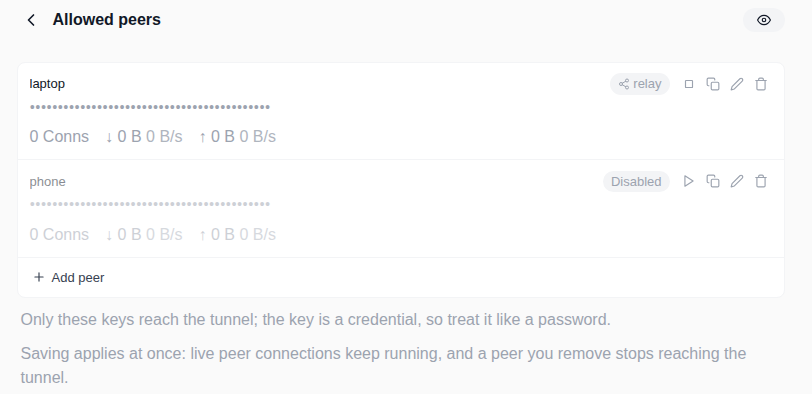 Wisper Allowed peers page: one row per peer public key, masked, with a transport badge, live stats, a disable button, and an Add peer button.